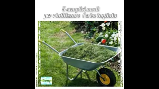 5 semplici modi per riutilizzare l'erba tagliata.