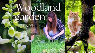 Plants & flowers for SHADE gardens 🌿🌳 Creating a Woodland Garden part 1
