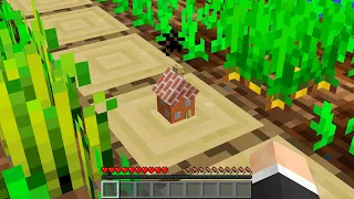 I found a microscopic house in my Minecraft world...