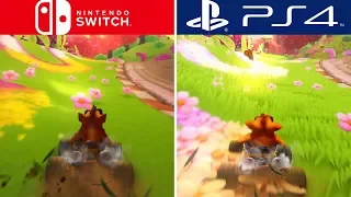 Crash Team Racing Nitro-Fueled - Nintendo Switch vs PS4 Pro Comparison
