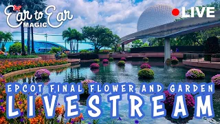 🔴 LIVE - Epcot Final Flower and Garden Livestream 06.28.23