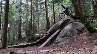 Pangor - Mount Seymour BC