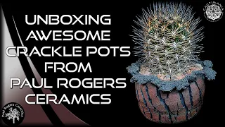 Unboxing Awesome Crackle Pots from Paul Rogers Ceramics | Pots for #Cactus & #Succulents