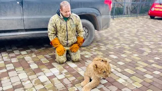 Новый житель Тайгана к сожалению НЕ МОЖЕТ ХОДИТЬ из-за СТРАШНЫХ БОЛЕЙ!