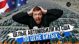 АВТО ИЗ США 2024. Аукцион Manheim. Экспорт авто из США по всему миру