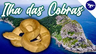 Fui na ILHA mais PERIGOSA DO MUNDO - Ilha das Cobras