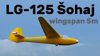 LG-125 Sohaj 2 | 5m giant scale RC glider | 4K | Hat 2023