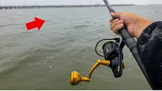 INSANE beach fishing FRENZY!! (Monsters!)