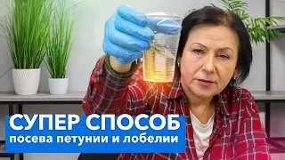 ТАКИМ СПОСОБОМ СЕЯТЬ МЕЛКИЕ СЕМЕНА ПРОЩЕ ВСЕГО! Посев лобелии, бегонии, петунии методом “трех-плех”