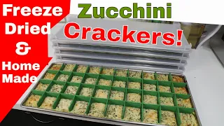 Freeze Dried Zucchini Crackers......Yum!😋 Homemade w/ Recipe