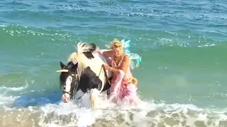 No Ads Ocean sounds meditation 1 hour horses swimming on the beach join us