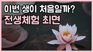 이번 생이 처음일까? 전생체험 최면