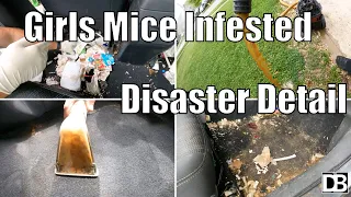 Girls Mice Infested Complete Disaster Detail | Dramatic Satisfying Transformation | Deep Cleaning