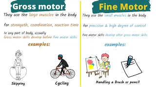 Motor skills in 2 minutes | Gross and fine motor skills | हिन्दी