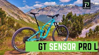 TEST GT SENSOR CARBON PRO +  RUOTE RESERVE AL 30 HD: ACCOPPIATA DA LECCARSI I BAFFI