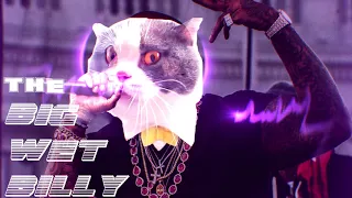 A CAT raps BETTER than MUMBLE RAPPERS! --[[[ BIG BILLY - GO CLEARLY ]]]-- (Bass Trap Beats)