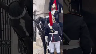 Don’t Mess with this King’s Guard During The Horse Checks #Shorts