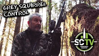 S&C TV | Air rifle hunting 9 | Grey squirrel shooting with Mick Garvey