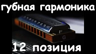 Губная гармошка. Как играть в 12 позиции. Уроки по губной гармонике.