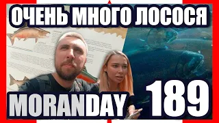 🇨🇦 Moran Day 189 - Очень Много Лосося