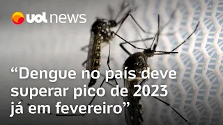 Dengue no Brasil deve superar pico de 2023 já em fevereiro; Josias: 'Negligência coletiva'