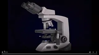 Microscopy: Virtual lab