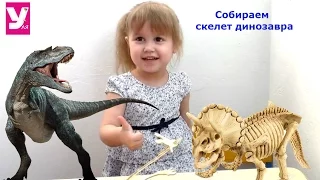 Собираем скелет динозавра. Видео для детей. Развивающий детский набор