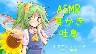 【ASMR】大妖精がひまわり畑で耳かきをします！（綿棒・両耳かき・吐息）４分ほど茶番あとは流れで（6:01と10:06にチルノ友情出演）音大きめ【3Dio】