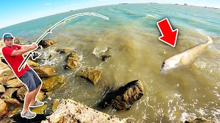 I CAUGHT THE JETTY MONSTER!! (Saltwater Battle)