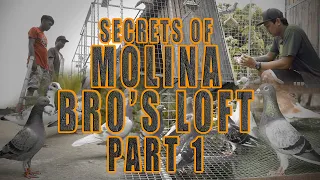 SECRETS OF MOLINA BRO'S LOFT IN PIGEON RACING PART 1