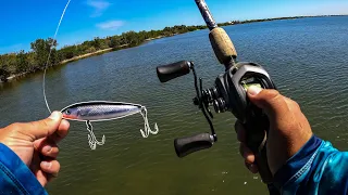 Crazy Midday Topwater Bite Fishing Unexplored Saltwater Flats