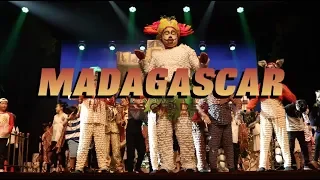 MADAGASCAR - A MUSICAL ADVENTURE JR. Teaser