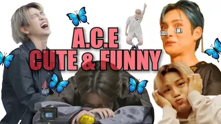 A.C.E CUTE & FUNNY MOMENTS #38 [Favorite Boys Comeback!!!]