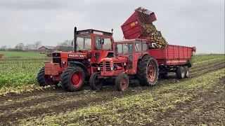 Volvo BM - Beet Harvest 2023 Vesterbølle