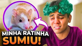 MEU PET SUMIU NA MANSÃO ! Perdi a RATINHA BIBI !