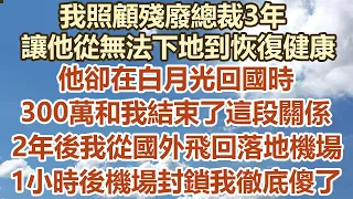 我照顧殘廢總裁3年，讓他從無法下地到恢復健康，他卻在白月光回國時，300萬和我結束了這段關係，2年後我從國外飛回落地機場，1小時後機場封鎖 我徹底傻了#幸福敲門 #為人處世 #生活經驗 #情感故事