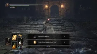 Dark Souls III NG+7 - Abyss Watchers vs Sunlight Spear