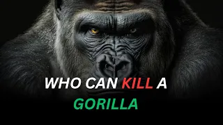 6  Animals That Could Defeat A Gorilla || Shocking Discoveries