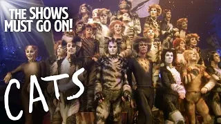 "Jellicle Songs for Jellicle Cats" | CATS | The Shows Must Go On!