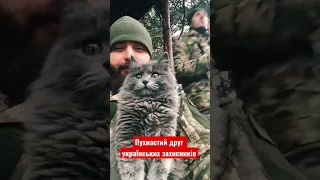 А ви помічали, що ЗСУ дуже люблять тварин?🥰 #shorts #зсу