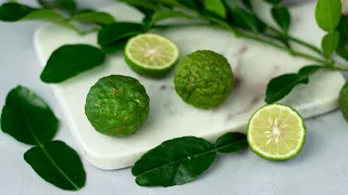 What are Kaffir Lime Leaves and How to Use Them? (aka Makrut Lime Leaves)