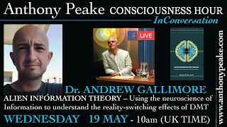 Dr Andrew Gallimore. DMT Realm. DMT Entities. Alien Information Theory