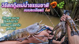 สอนวิธีตกกุ้งแม่น้ำธรรมชาติ🦐🌿 ใช้เหยื่ออะไร หาหมายยังไง ยกยังไงให้ได้ตัว!! วิธีดัดตาเบ็ด💥