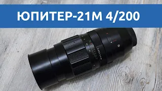 Тест объектива Юпитер-21М 200mm f/4 m42: вперед на охоту