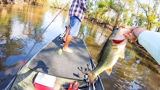 River fishing in HEAVY Current with Spinnerbaits!!