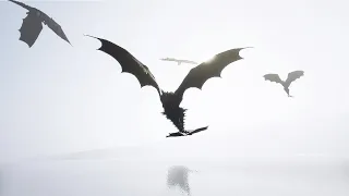 How a Solo Survived Day Of Dragons