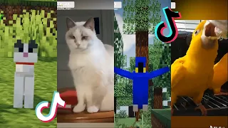 MINECRAFT VS REALITE FUNNY TIKTOK COMPILATION #2