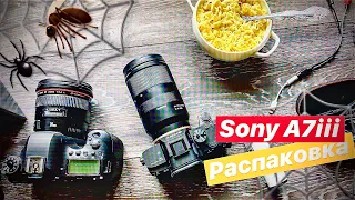 Sony A7iii и Tamron 28-75mm f2.8 / Будничная Распаковка