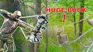 MASSIVE Buck at 30 YARDS!! North Dakota BOWHUNTING