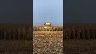молотим кукурудзу 2023